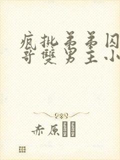 疯批弟弟囚禁哥哥双男主小说