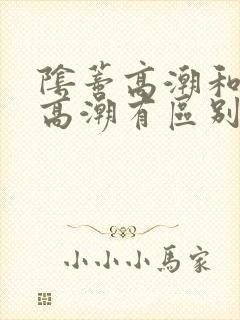 阴蒂高潮和阴道高潮有区别吗