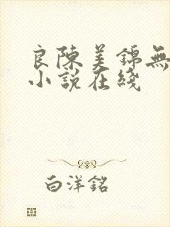 良陈美锦无删减小说在线