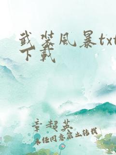 武装风暴txt下载
