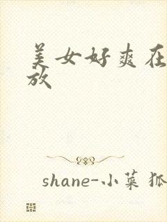 美女好爽在线播放