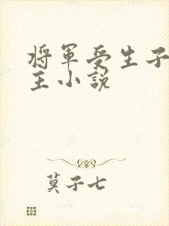 将军受生子双男主小说