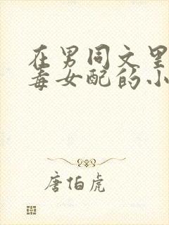 在男同文里当恶毒女配的小说