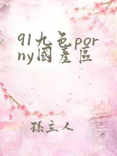 91九色porny国产区