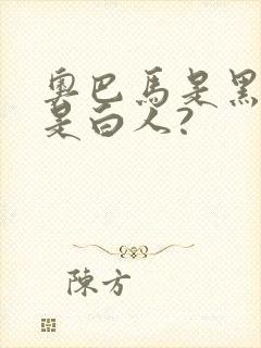 奥巴马是黑人还是白人?