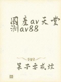 国产av天堂亚洲av88