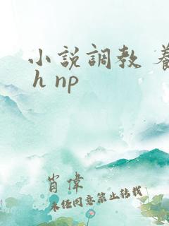 小说调教 养成 h np