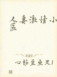 人妻激情小说一区