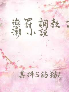 惩罚 调教 高潮 小说