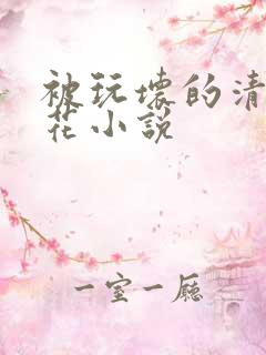 被玩坏的清纯校花小说