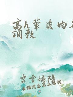 高h荤爽肉欲文调教