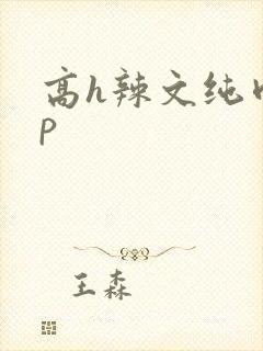 高h辣文纯肉np