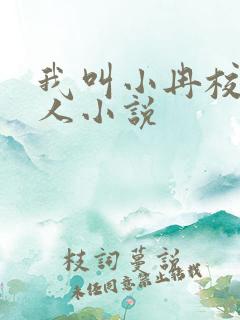 我叫小冉校花黑人小说