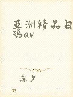 亚洲精品日韩有码av