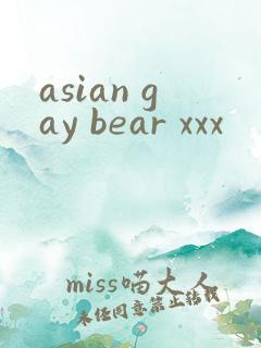 asian gay bear xxx
