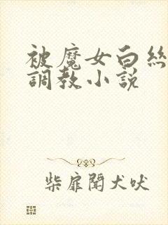 被魔女白丝玉足调教小说
