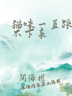 猫咪一直踩奶停不下来