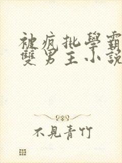 被疯批学霸囚禁双男主小说完结了吗