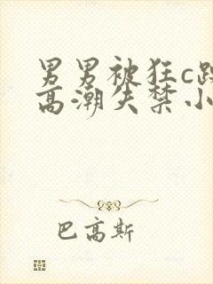 男男被狂c躁到高潮失禁小说