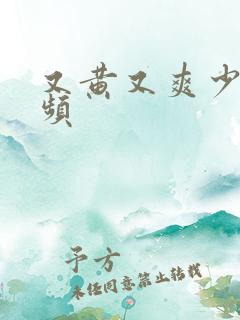 又黄又爽少妇视频