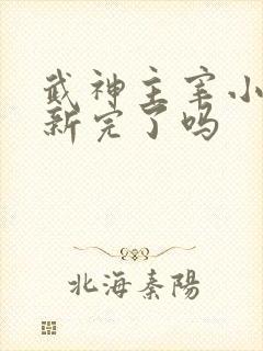 武神主宰小说更新完了吗