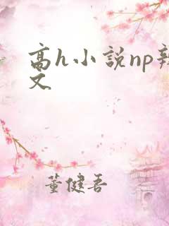 高h小说np辣文