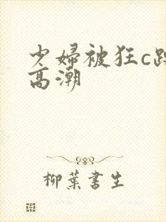 少妇被狂c躁到高潮