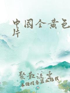 中国全黄色一级片