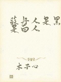 苏丹人是黑人还是白人