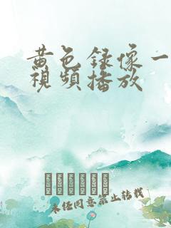 黄色录像一级片视频播放