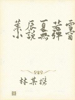 叶辰夏若雪孙怡小说无弹窗