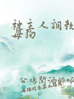 被主人调教成小母狗