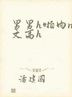 男男h啪肉np文高h