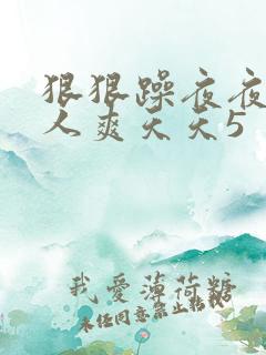 狠狠躁夜夜躁人人爽天天5