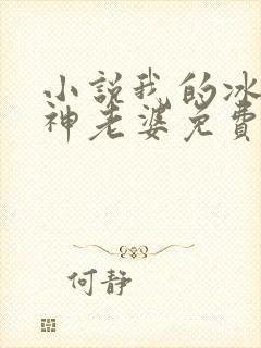 小说我的冰山女神老婆免费阅读
