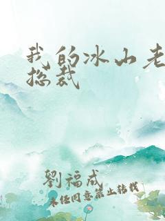 我的冰山老婆是总裁