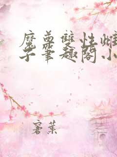 魔尊双性雌堕生子笔趣阁小说