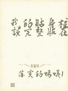 我的贴身校花小说完整版在线阅读