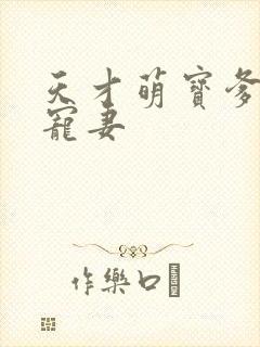 天才萌宝爹地超宠妻