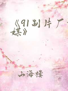 《91制片厂传媒》