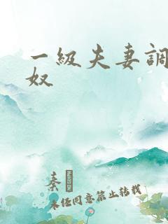 一级夫妻调教男奴