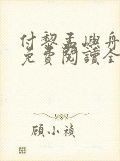 付黎孟屿舟小说免费阅读全文无弹窗