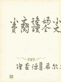 小文后妈小说免费阅读全文最新章节