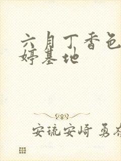 六月丁香色婷婷婷基地