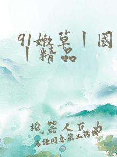 91嫩草丨国产丨精品