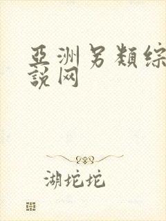 亚洲另类综合小说网