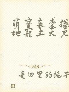 萌宝来袭总裁爹地宠上天免费阅读