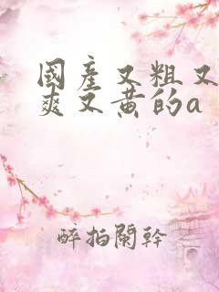 国产又粗又猛又爽又黄的a