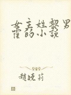 女主姓黎男主姓霍的小说