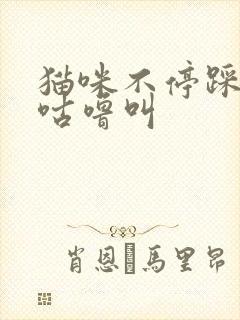 猫咪不停踩奶和咕噜叫